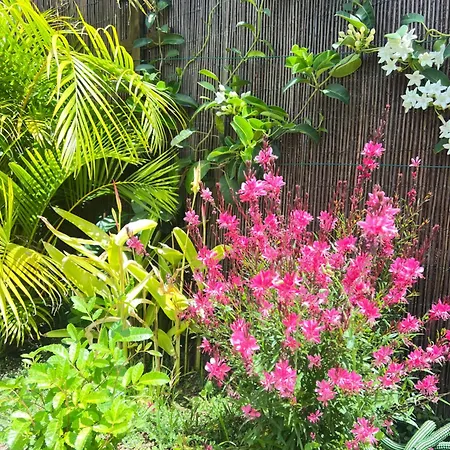 Buzzstays: 1-bed Bungalow, Garden, Near Yumbo & شقة *